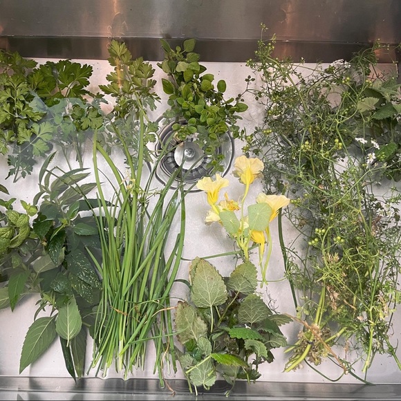 Meet your Posher, Autumn - Picture 13 of 16